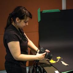 Atelier pratique macrophoto