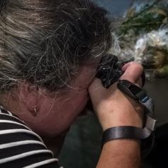 Atelier pratique macrophoto