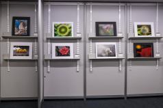 Salon du livre 2023
