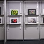 Salon du livre 2023