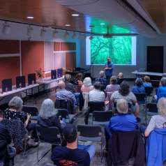 Atelier Expositions multiples Jean-Claude Cajolet