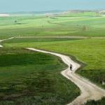 Marie-Claude Bernard