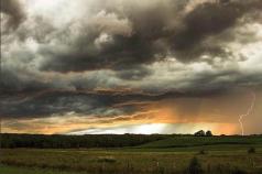 SPPQ 2014 -Nature 3 - Jacques Thibault