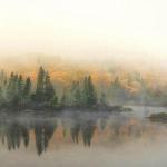 SPPQ 2014 - Nature 2 - Michel Allard