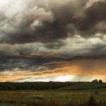 SPPQ 2014 -Nature 3 - Jacques Thibault