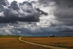 SPPQ 2015 - Nature 5 - Jacques Thibault