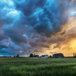 SPPQ 2015 - Nature 4 - Lorraine St-Arnaud
