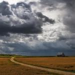 SPPQ 2015 - Nature 5 - Jacques Thibault
