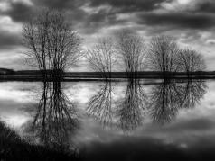 Jacques Thibault