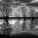 Jacques Thibault