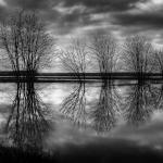 Jacques Thibault