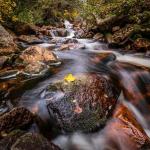 Comme-un-air-dautomne (Nature)