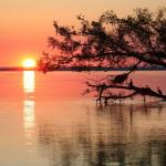 Fin-de-journee-paisible (Nature)