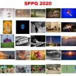 MOSAIQUE SPPQ 2020