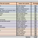 SPPQ Note 2020