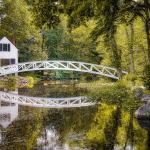 MNP - Presque un Monet - Angèle Villemure