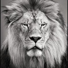 MNP-Regard royal (Version soumise à la SPPQ) - SPPQ-INTER-2023