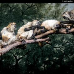 MNP - L'entraide - SPPQ-INTER-2023