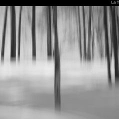 Nature - La Tempête - SPPQ-INTER-2023