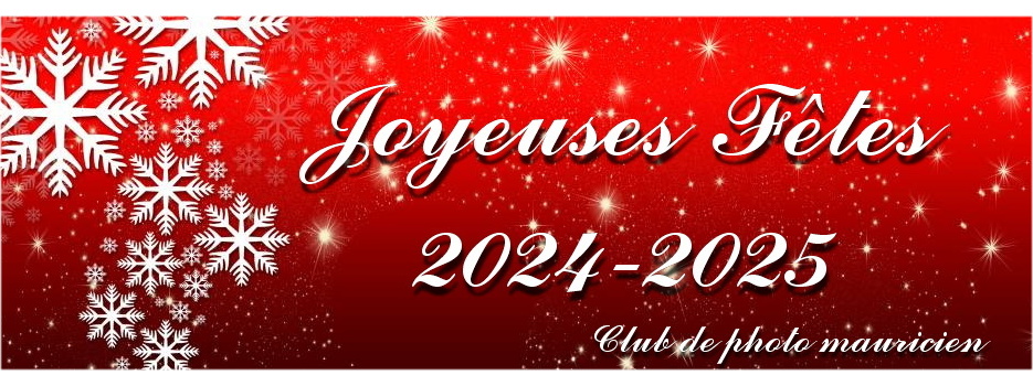 Joyeuses Fêtes