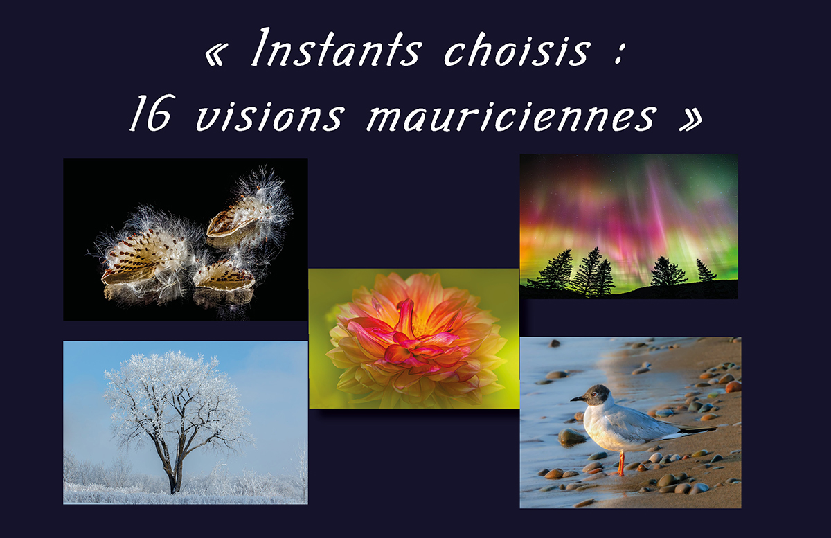 Exposition à la Bibliothèque Aline-Piché de Trois-Rivières jusqu'au 6 janvier 2026