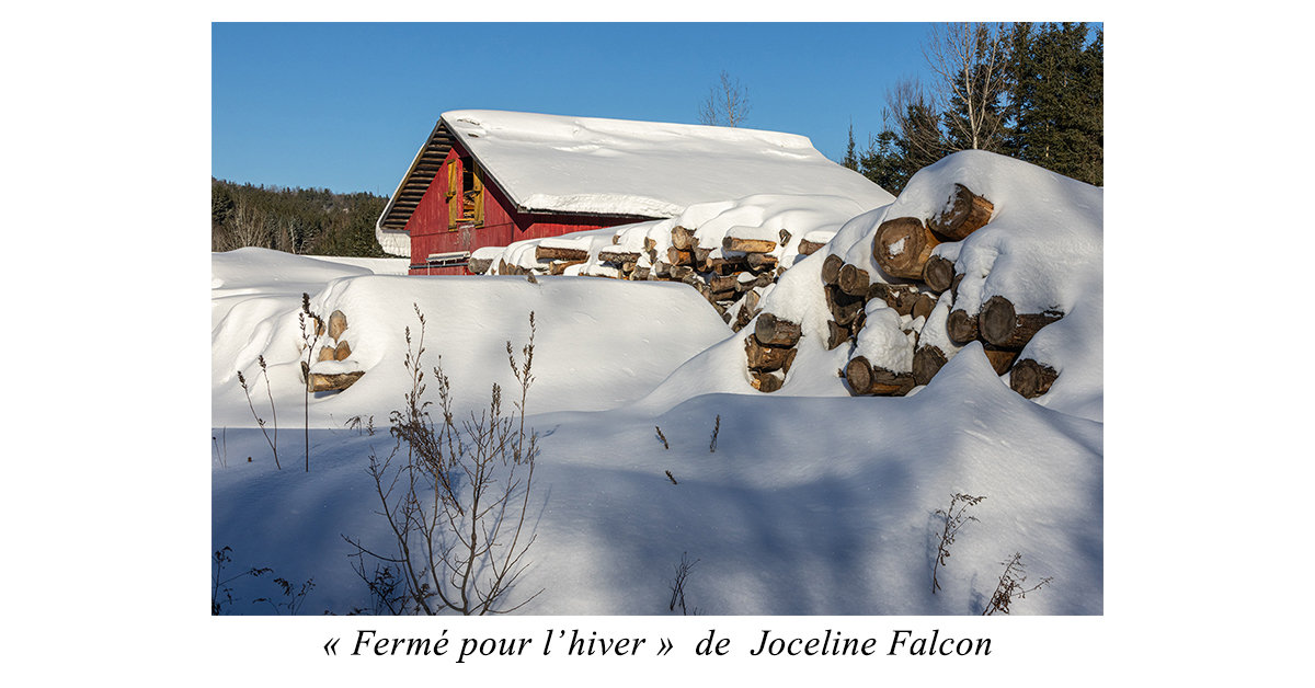 Exposition au Salon du livre 2026 Tirage de la photo Coup de coeur